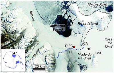 Ocean turbulent boundary-layer influence on ice crystal behaviour beneath fast ice in an Antarctic ice shelf water plume: The “dirty ice”